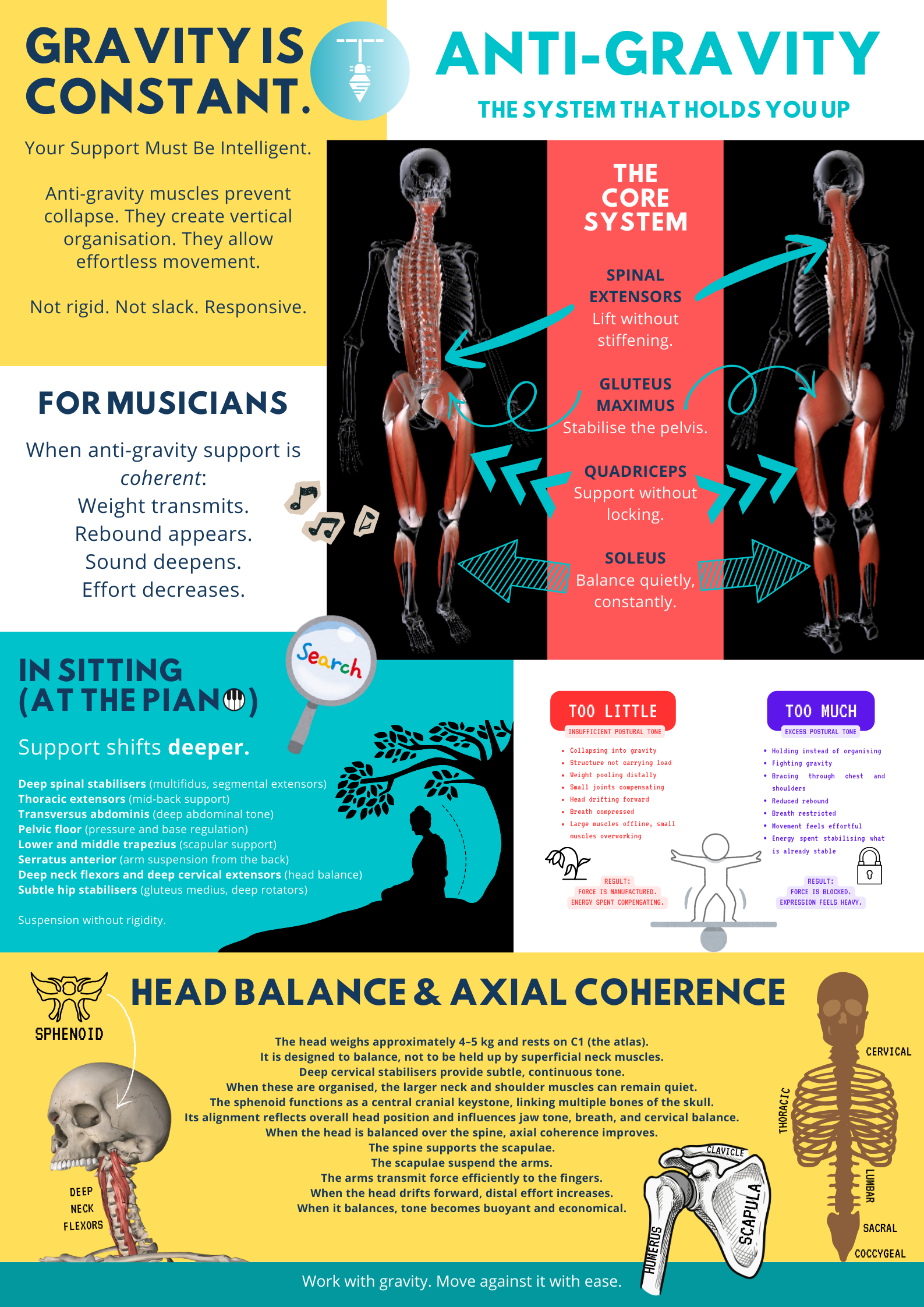 Anti-Gravity infographic